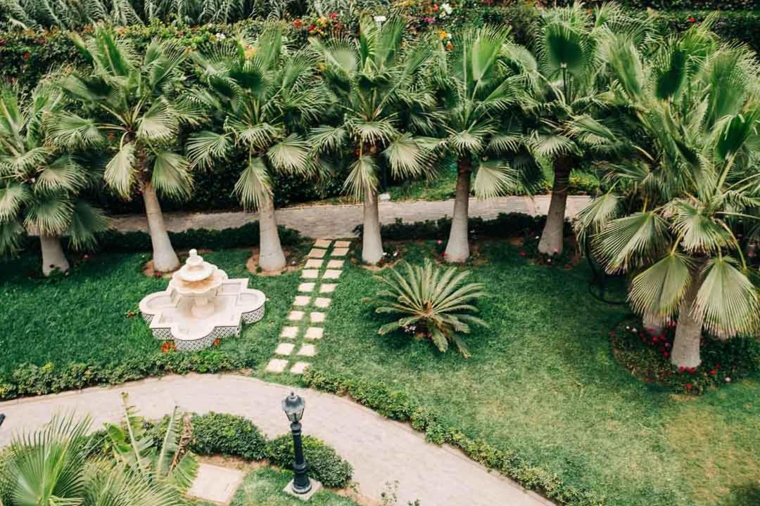 דירות אווריר Tamraght House Banana מראה חיצוני תמונה